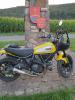 Profilbild Ducati-Scrambler-Forum