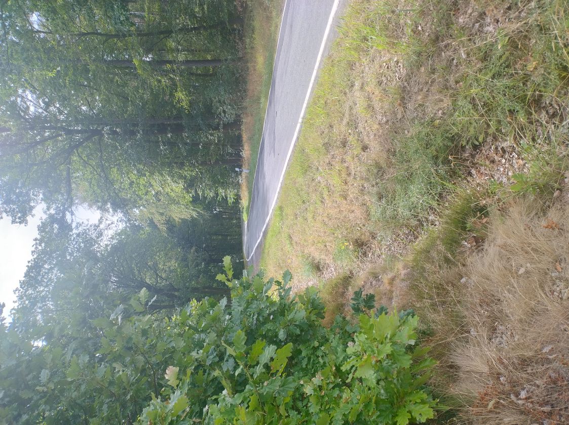 [Bild: motorradtour_knuell_vogelsberg_05.jpg]